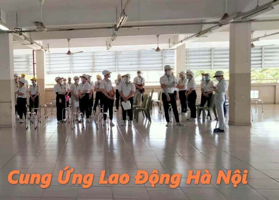 cung ung lao dong ha noi chat luong tay nghe gioi