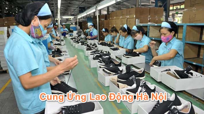 cung ung lao dong 710x400 1