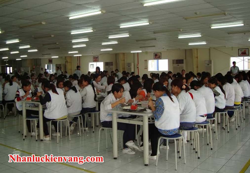 cung ứng lao động KCN Đông Nam chất lượng