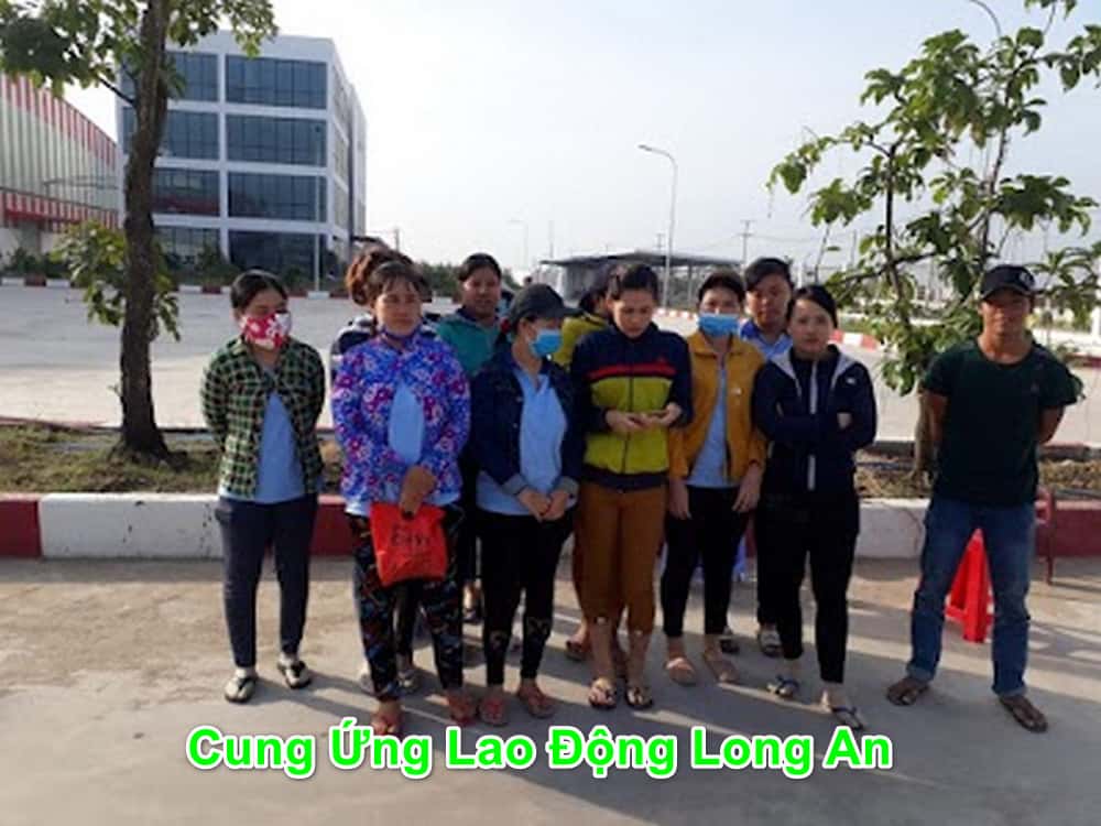 cung ung lao dong long an 1