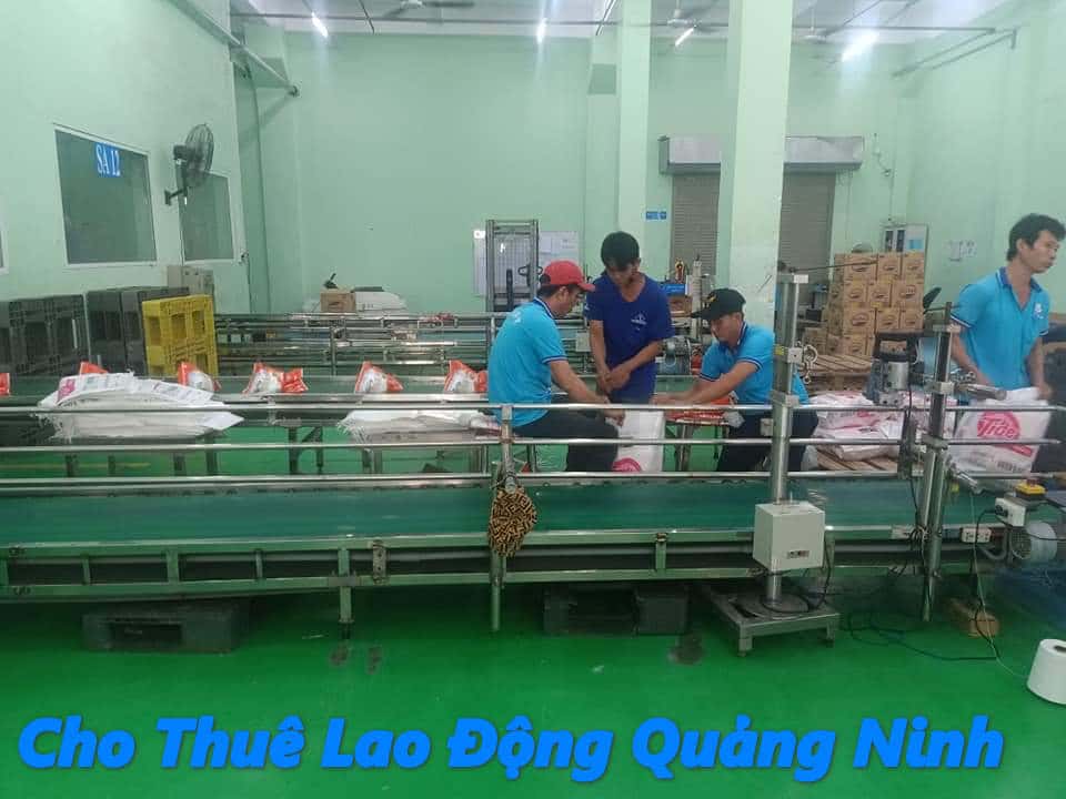 Cung Ứng Lao Động Xử Lý Hàng Hóa Tại Quảng Ninh Cho-thue-lao-dong-quang-ninh-an-toan-he-thong