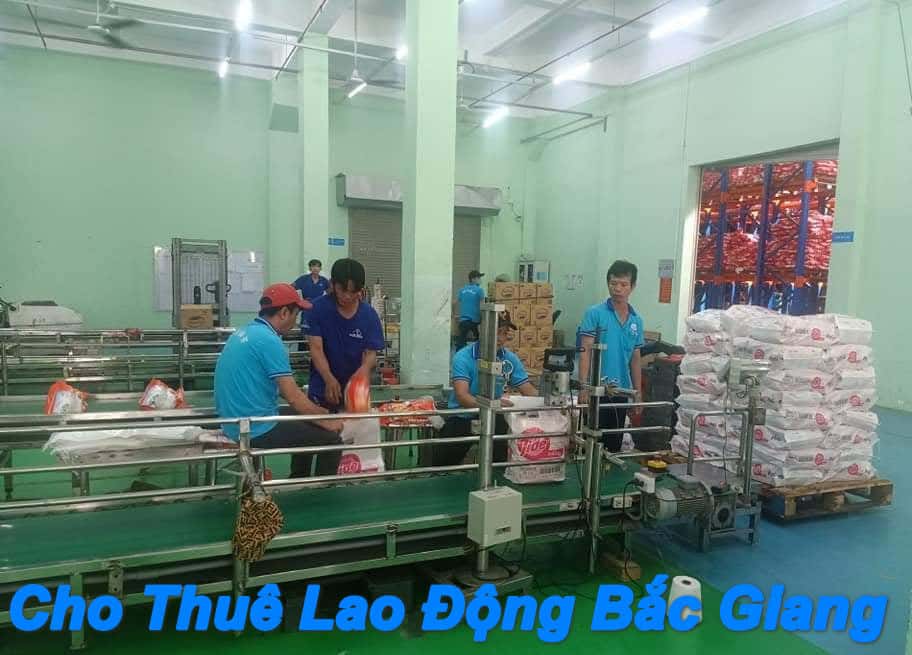 cho thue lao dong bac giang gia re chat luong