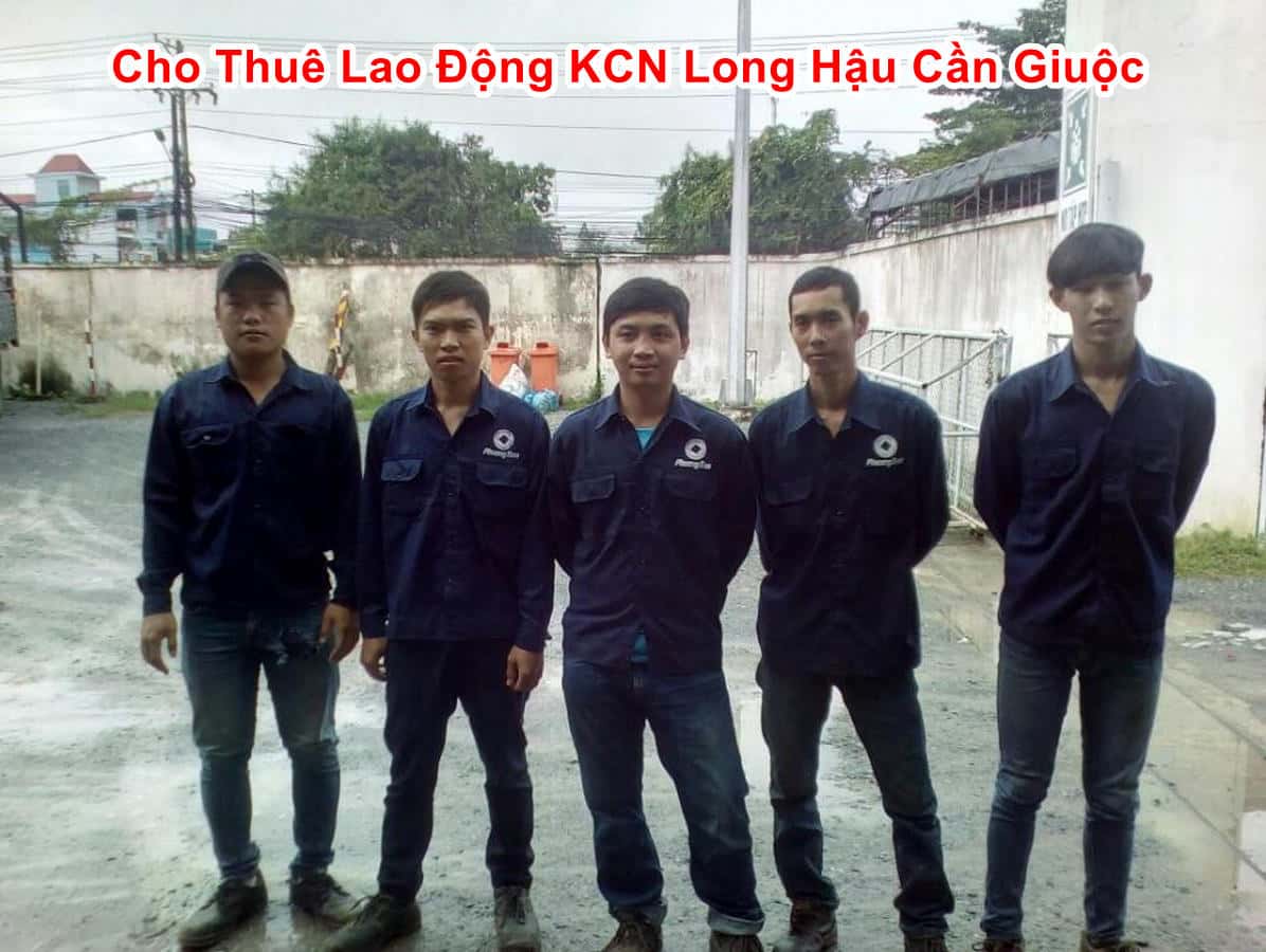 thue lao dong pho thong
